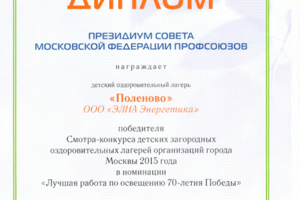 диплом профсоюз